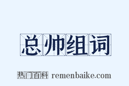 总帅组词是什么意思的图片